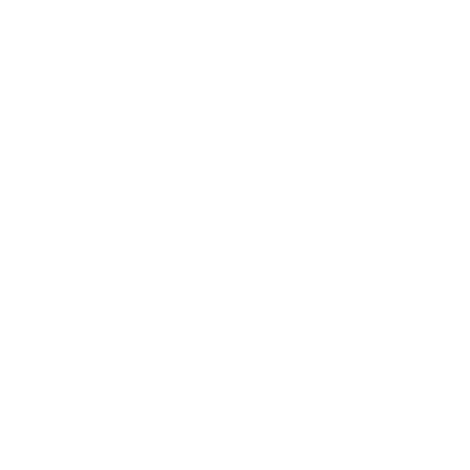 Al ansari exchange white logo